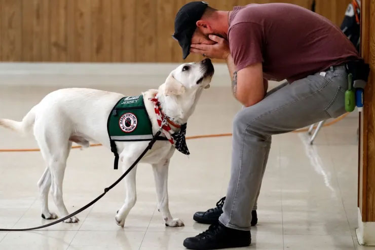 Army veteran Jacob Burns simulates having a panic attack as he works with Jersey, his new support dog, as part of a training session together Thursday, Oct. 5, 2017, in Collinsville, Ill. The non-profit Got Your Six Support Dogs provides the specially trained service dogs at no charge to veterans like Burns who suffers from post-traumatic stress disorder. After spending about a week getting to know each other, the Burns will return home with his new companion to help combat the issues associated with PTSD. (AP Photo/Jeff Roberson)